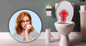 Due animali che potrebbero spuntare dal WC (sì, anche in Italia)