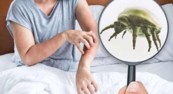 Allarme acari: queste abitudini (molto comuni) sono più pericolose di quanto si possa immaginare