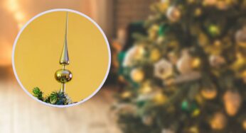 Quest’anno butta via il solito puntale per l’albero di Natale: la nuova tendenza è incantevole