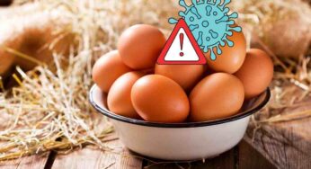 Influenza aviaria con le uova: fai attenzione se le consumi in questo modo